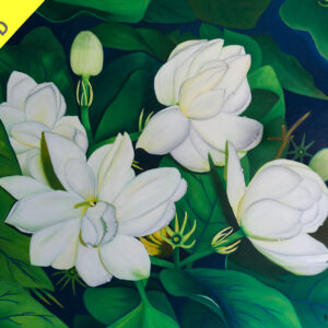 Arabian Jasmine
