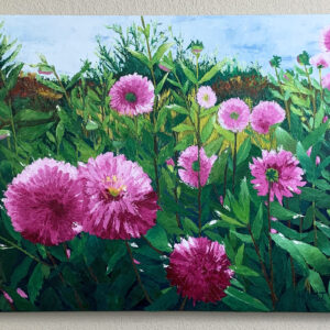 Blossoms on the Farm (dahlias)