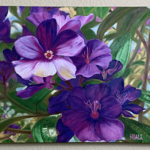 Deep Amazon (clematis)