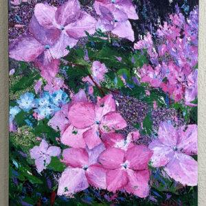 Hydrangea in the Right Spot
