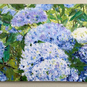 Hydro Blue (hydrangea)