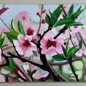Peach Blossom