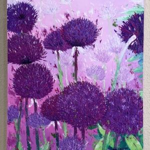 Purple Persian (allium giganteum)
