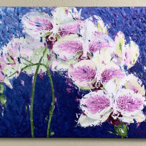 Resurgence (orchid)