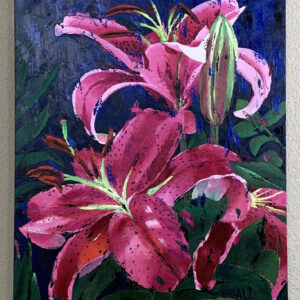 Stargazer (lily)