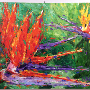 Crowned in Paradise (bird of paradise)