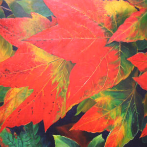 Feel Good in Red (maple leaves)