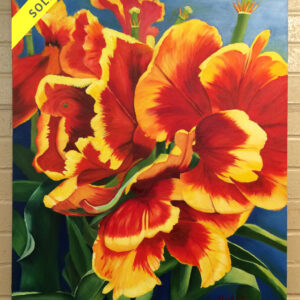 Merengue Dancer (parrot tulips)