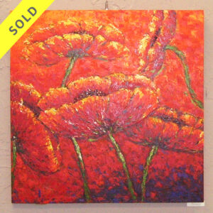 Poppies