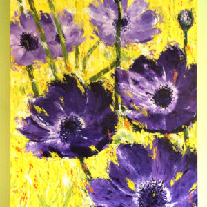 Splash of Color (flowers)