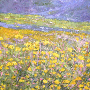 Field Flowers