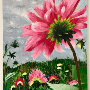 Dahlia Greets The Sun