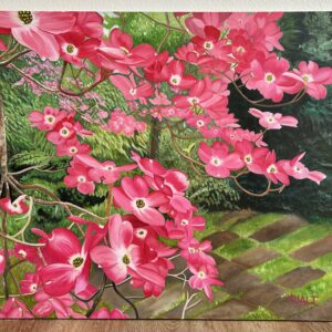 Catching the Sunlit Bloom (dogwood)