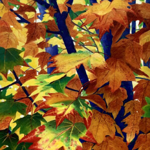 Electric Autumn