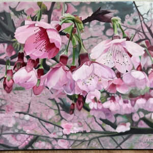 Hanami Party (cherry blossoms)