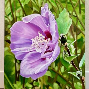 Eternity (hibiscus)