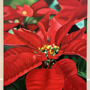 Star in Scarlet (poinsettia)