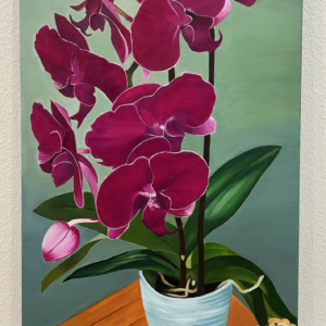 Afternoon Glow (orchid)