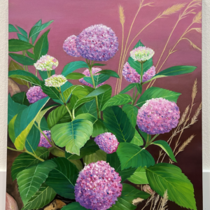 Dreamy Mauve (hydrangea)