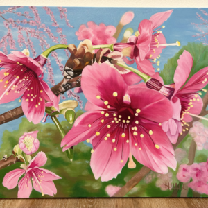 Sakura Feast (cherry blossom)