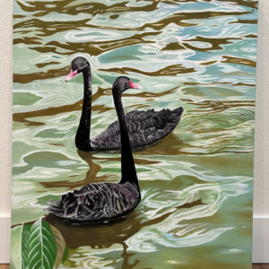 Parallel Grace (black swans)