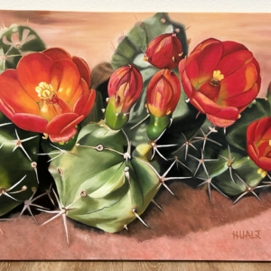 Desert Fire (cactus blossom)