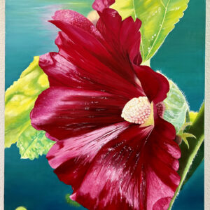 Independent (hollyhock)