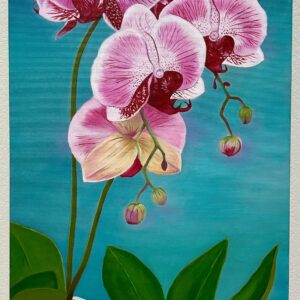 Azure Serenade (orchid)