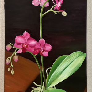 Orchid Ovation