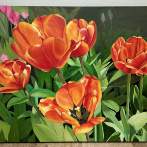 Persian Romance (tulips)