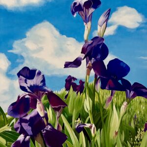 Petals in the Breeze (irises)
