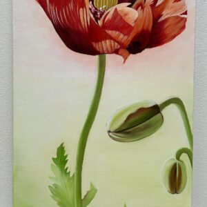 Song of a Scarlet Dawn (poppy)