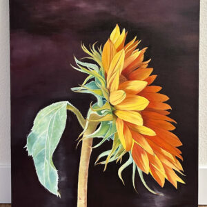 Sun King (sunflower)