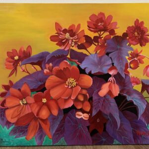 The Survivor (begonia)