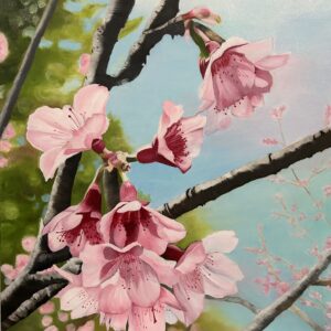Transience (cherry blossom)