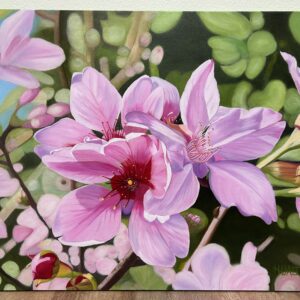 Whispers in Spring (cherry blossoms)