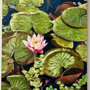 Floating Garden (water lily)
